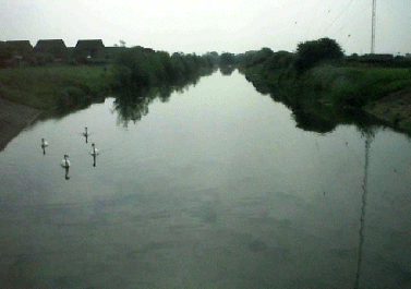 Radio mast section of the River Kenn, Strode Road